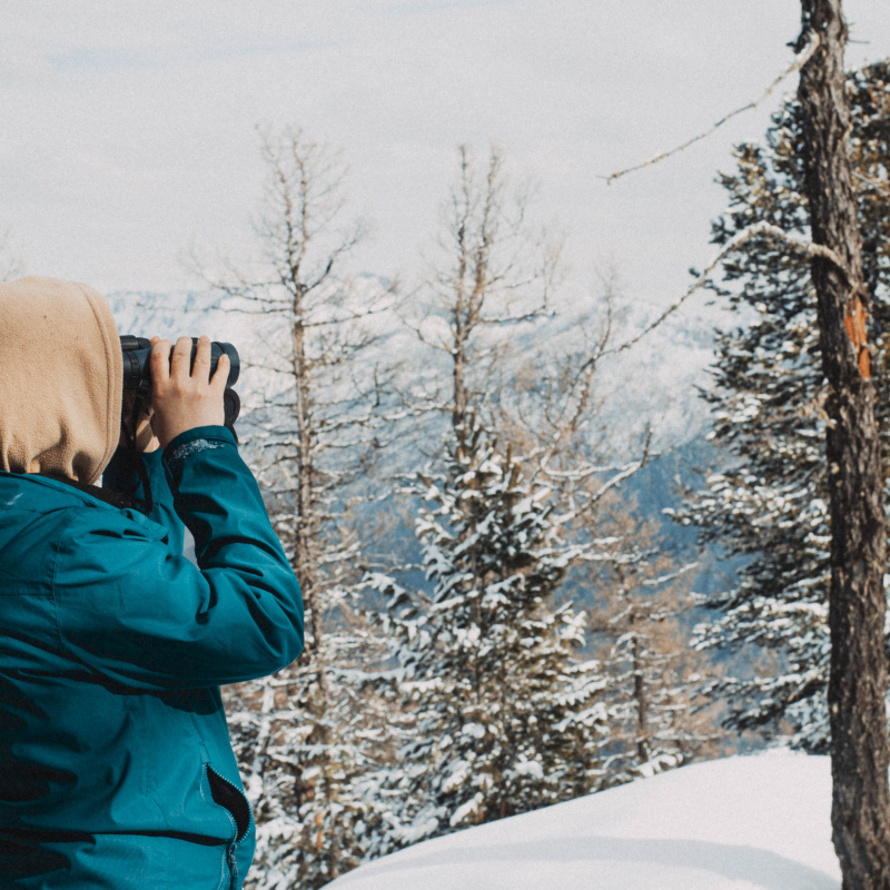 Экспедиция "Сохраняй Алтай" Экспедиция "Сохраняй Алтай"