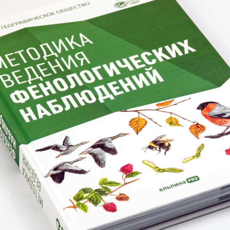 Пресс-служба РГО