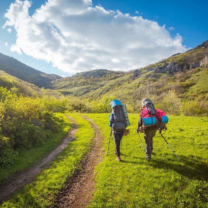 Предоставлено организаторами 