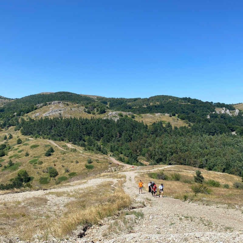 Никифорова А.А. 