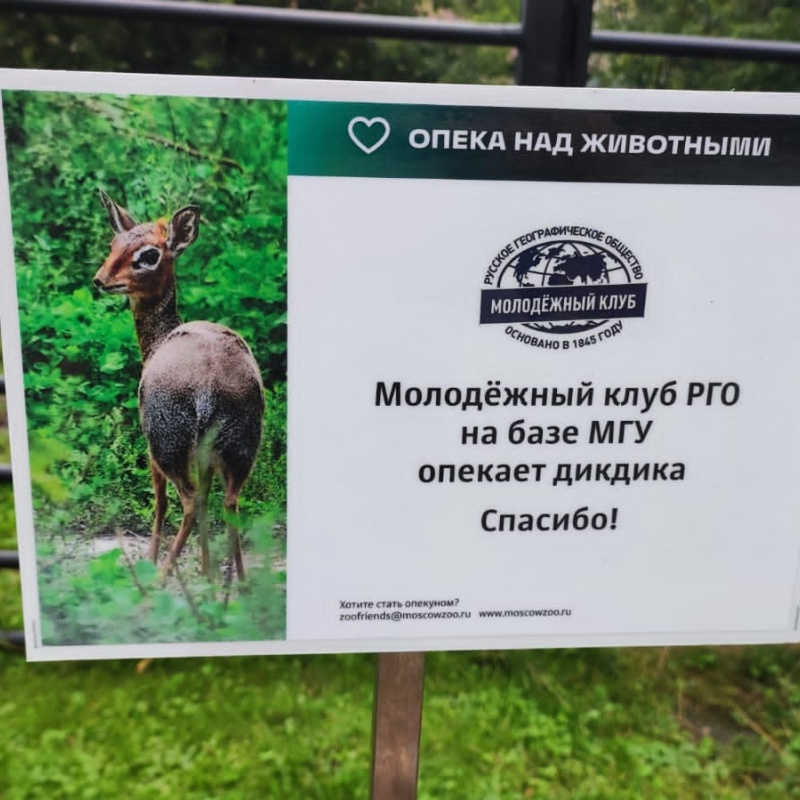 В Московском зоопарке В Московском зоопарке