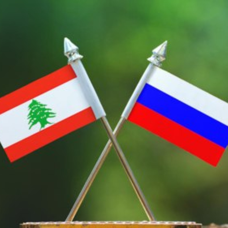 МК РГО "Феникс" МК РГО "Феникс"