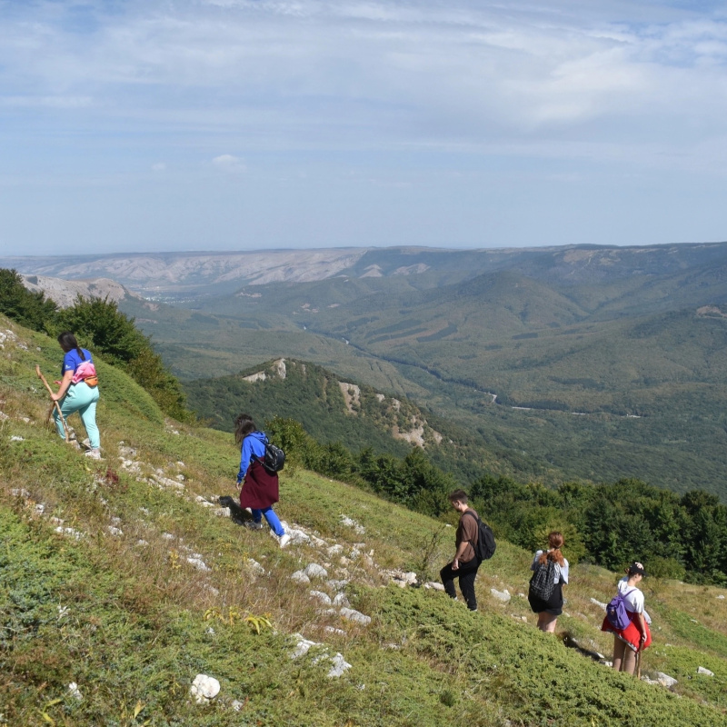 Максим Темиров Максим Темиров