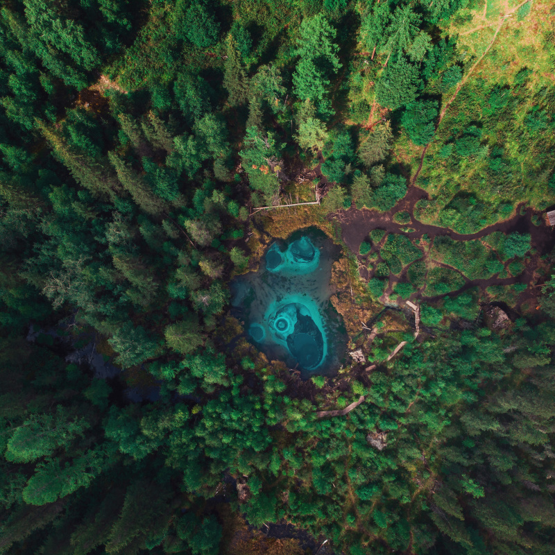 Водоём (тест)