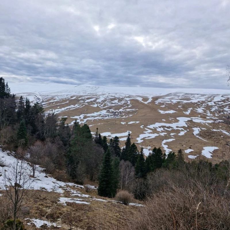 Лагонакское нагорье