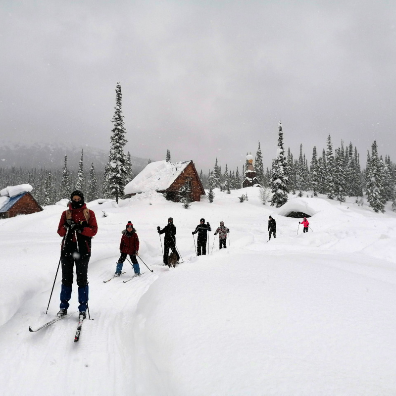 НФИ КемГУ Новокузнецк НФИ КемГУ Новокузнецк
