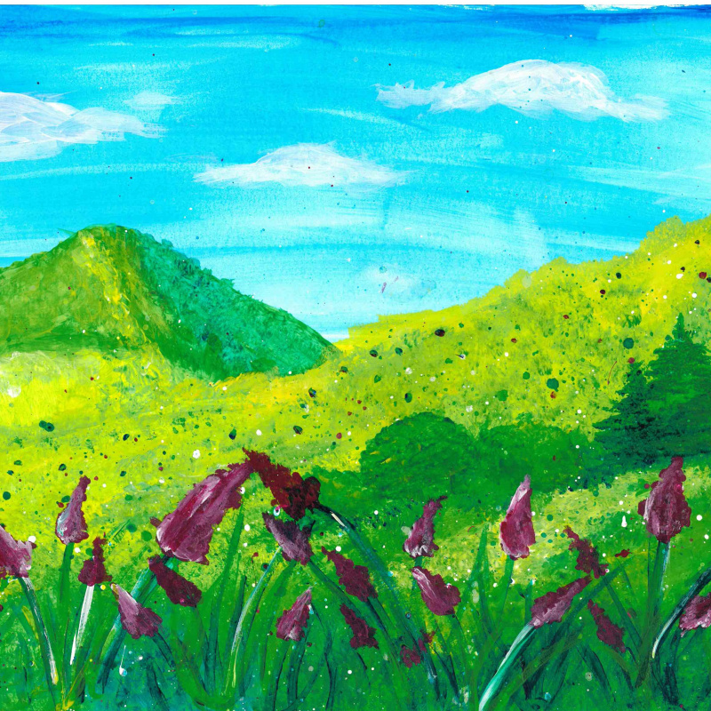 Погода для всех Погода для всех