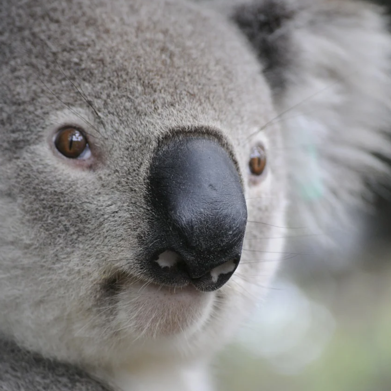 Фото: pixabay.com