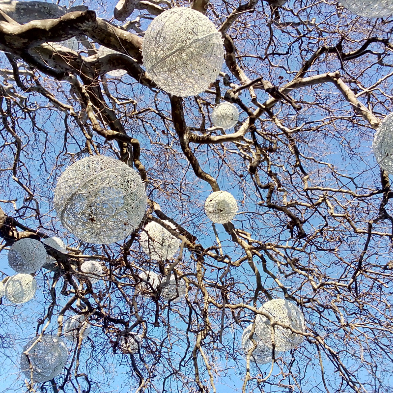 Новогоднее дерево. Воропаев Ярослав Новогоднее дерево. Воропаев Ярослав