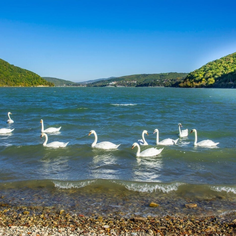 Краснодар Краснодар