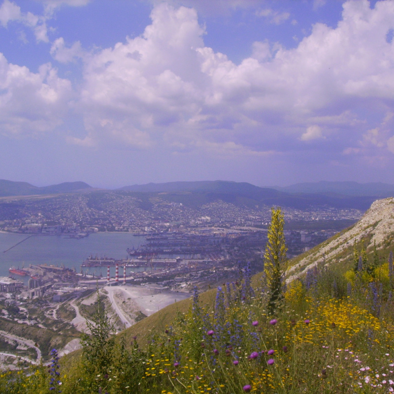 Краснодарский край Краснодарский край