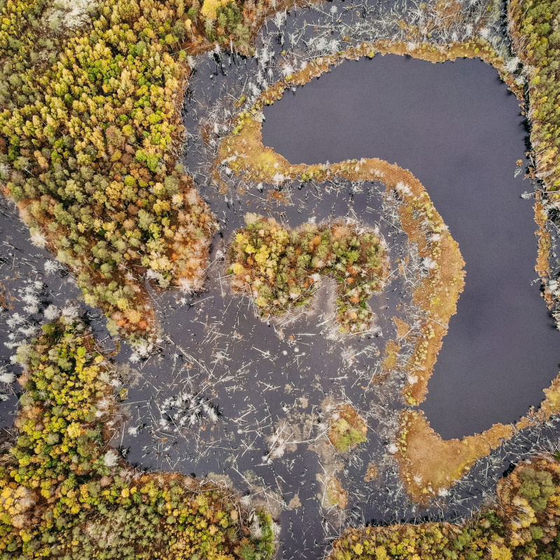 Волкова Влада Волкова Влада