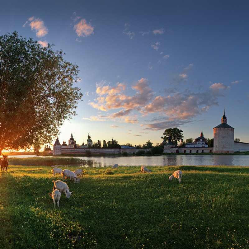 Вологодская область