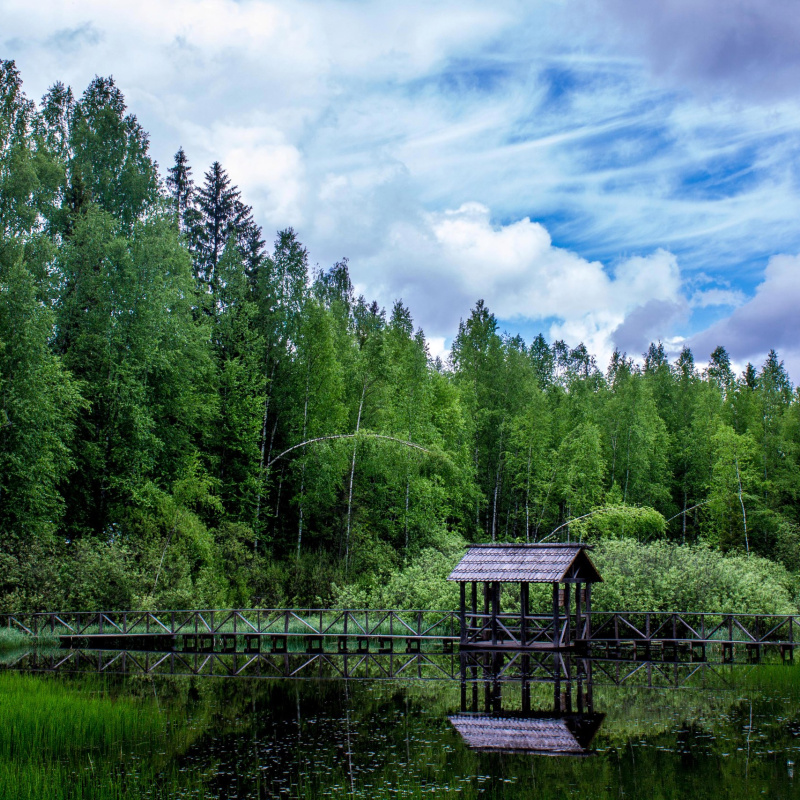 Волонтерская школа