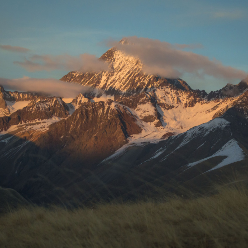Дарья Степанова