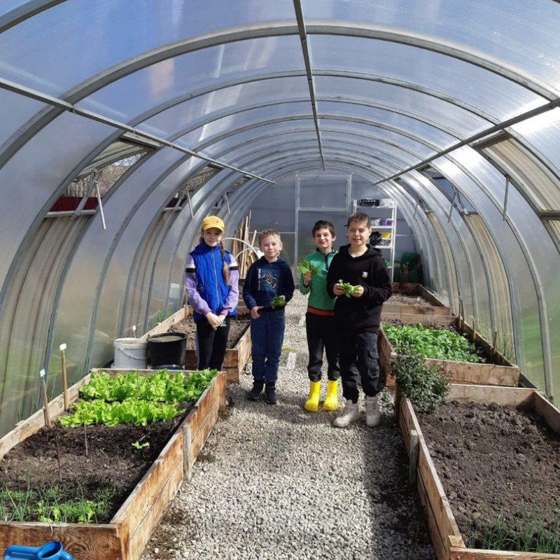 Участники проекта Участники проекта