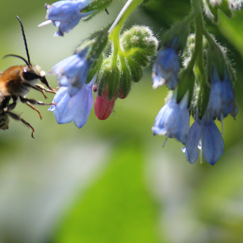 Юлия Святова, участница фотоконкурса РГО "Самая красивая страна"