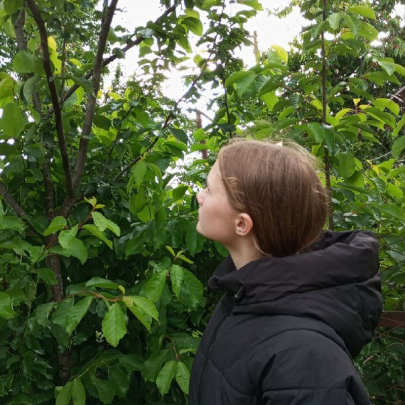 Наблюдения Наблюдения