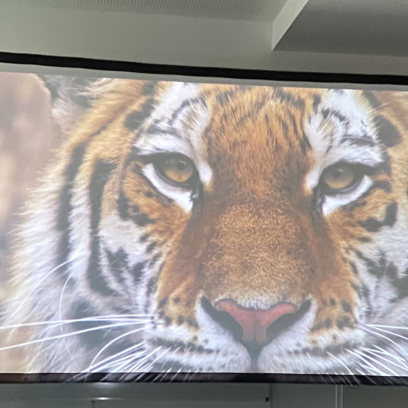 МК РГО "Австрия"