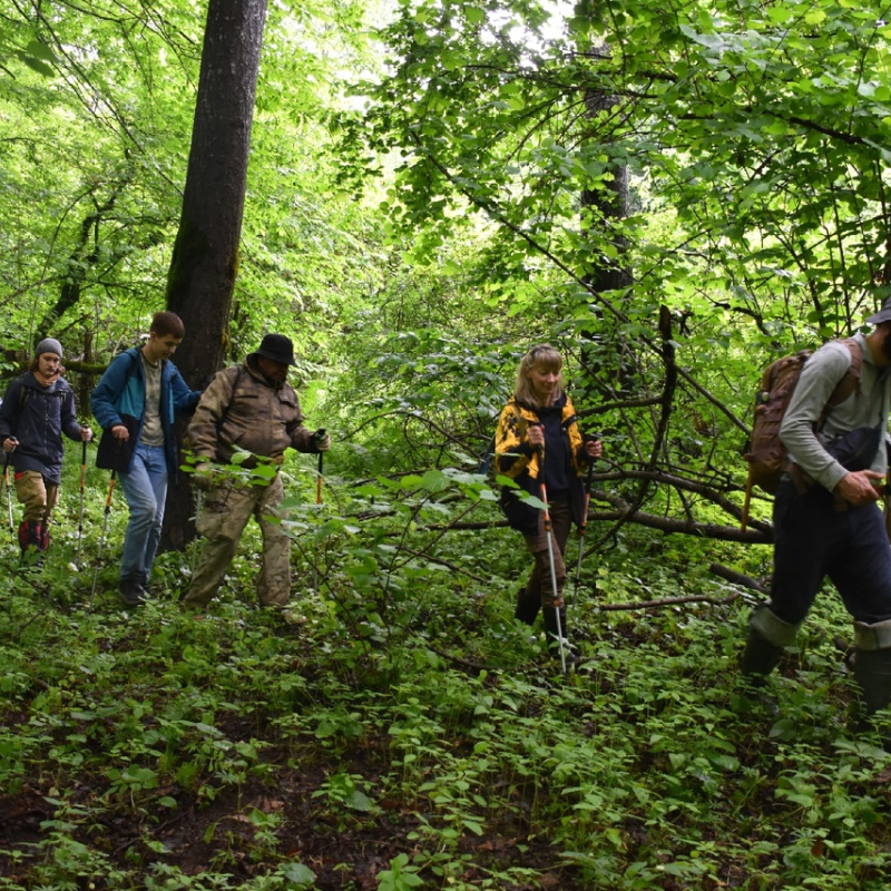 Поход на Первый пик