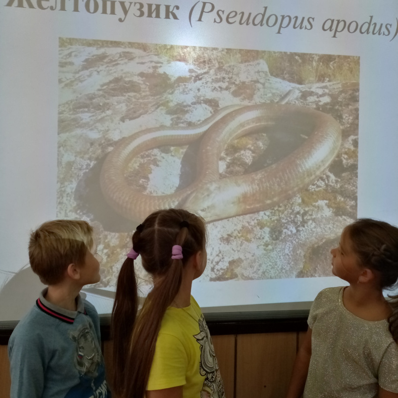 Молодёжный клуб РГО Молодёжный клуб РГО