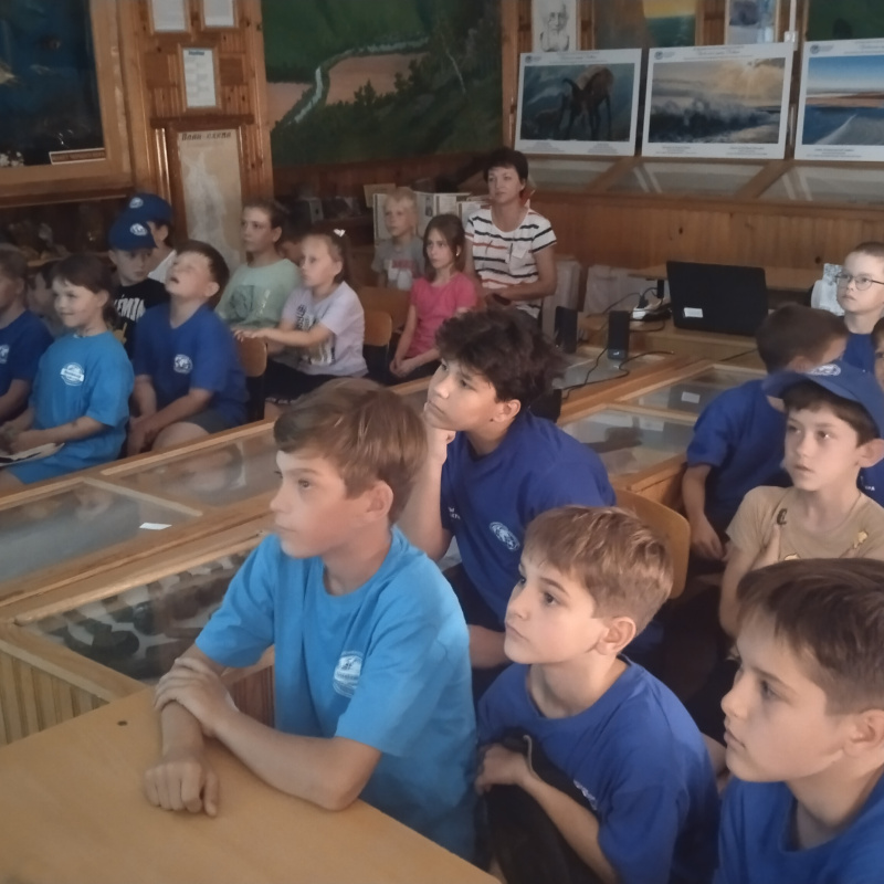 Просмотр фильма Просмотр фильма