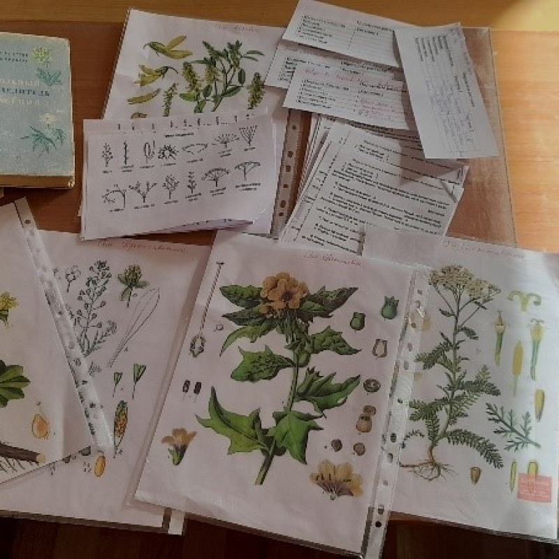 Молодежный клуб РГО "ОРТ Мишпахтейну" Молодежный клуб РГО "ОРТ Мишпахтейну"