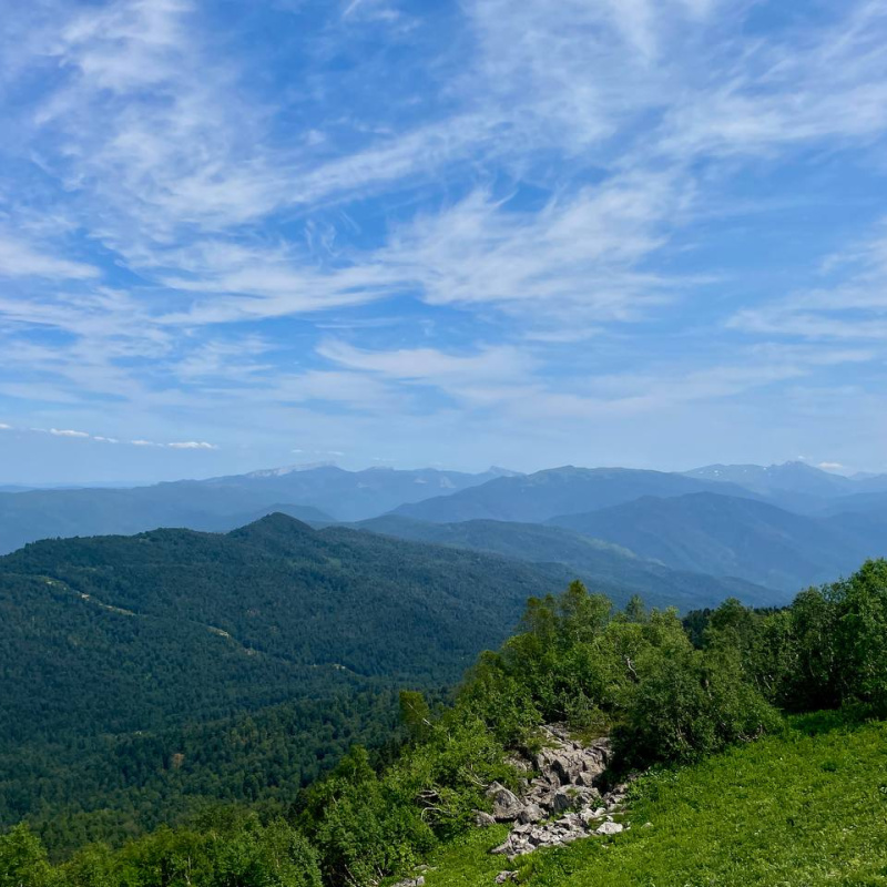 Анна Холод Анна Холод