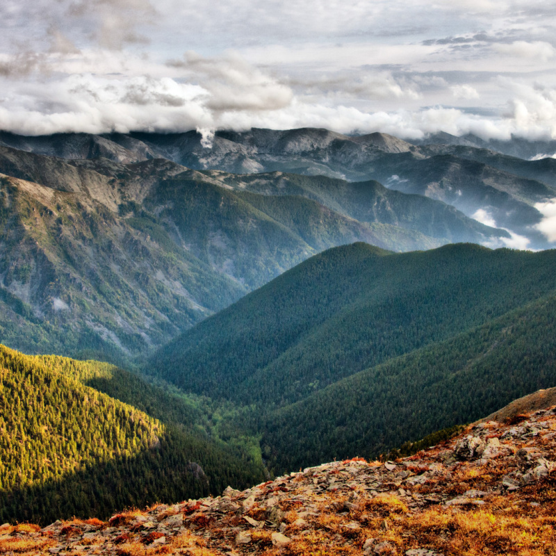 Афанасьев Роман Геннадьевич, участник фотоконкурса "Самая красивая страна" Афанасьев Роман Геннадьевич, участник фотоконкурса "Самая красивая страна"