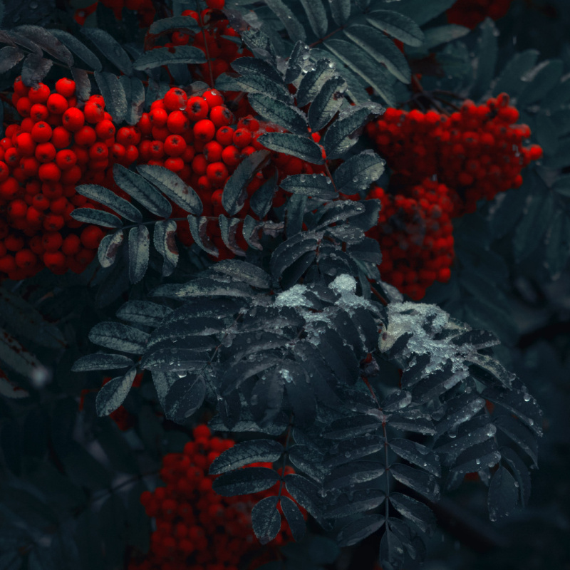 Юлия Лушникова, участница фотоконкурса РГО "Самая красивая страна" Юлия Лушникова, участница фотоконкурса РГО "Самая красивая страна"