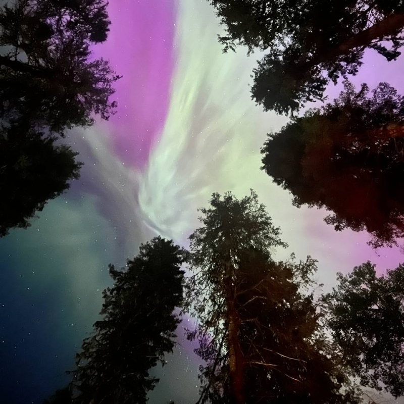 Салман Джумагазиев Салман Джумагазиев