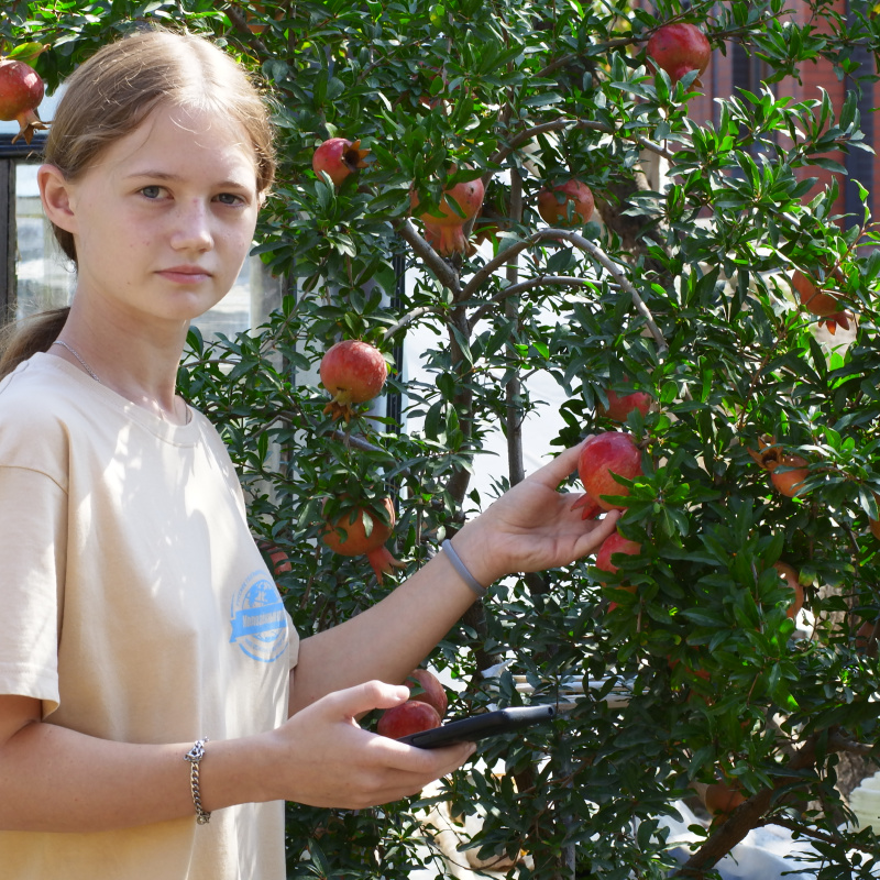 Юлия Кузина проводит наблюдение Юлия Кузина проводит наблюдение