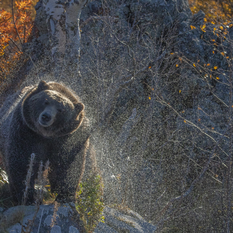 Вадим Елистратов, участник фотоконкурса РГО "Самая красивая страна"