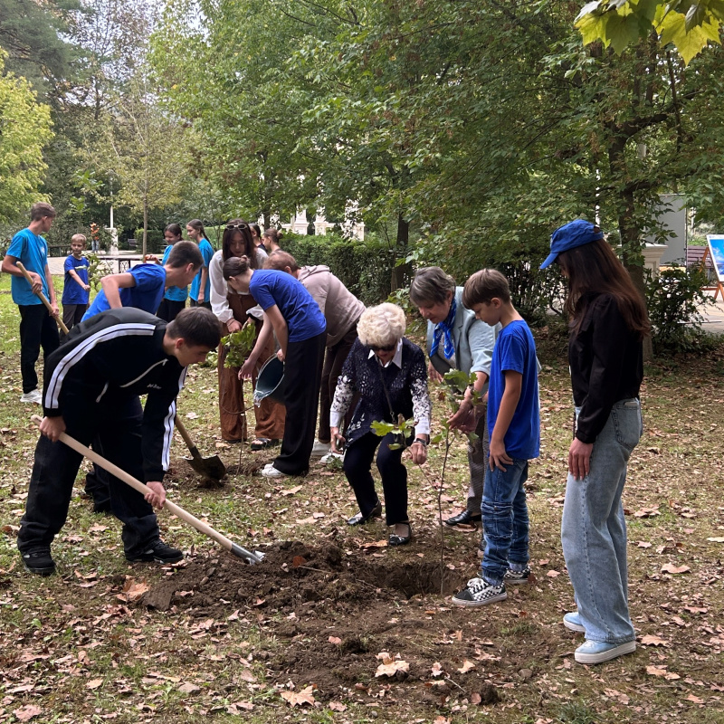 Высадка аллеи Высадка аллеи