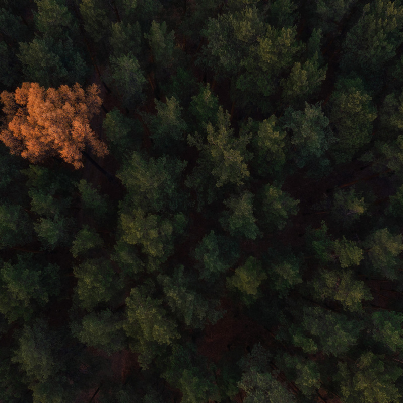 Сергей Гарифуллин, участник фотоконкурса РГО "Самая красивая страна"