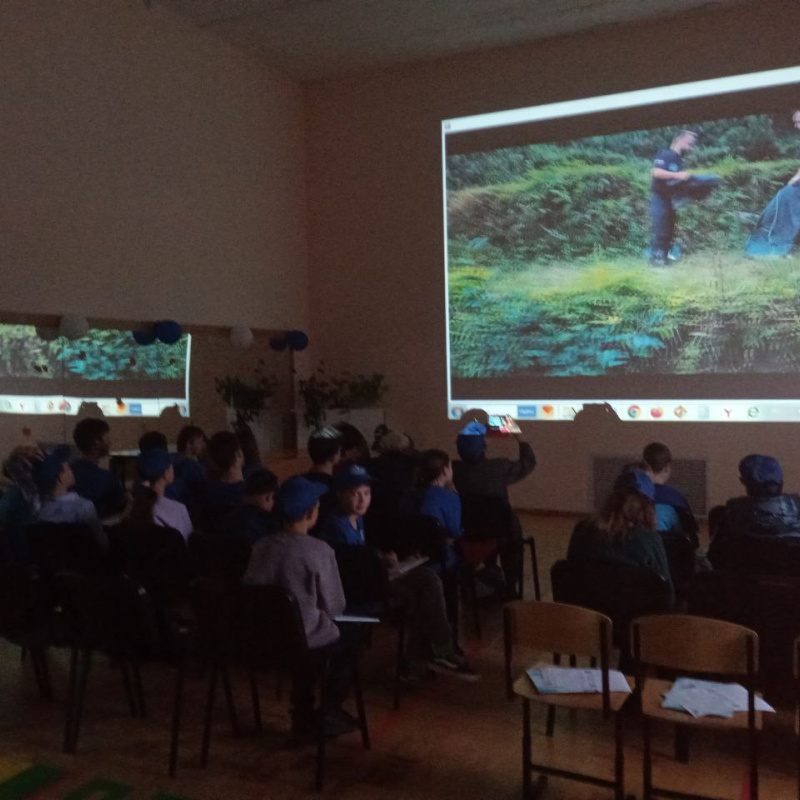 кинопоказ кинопоказ