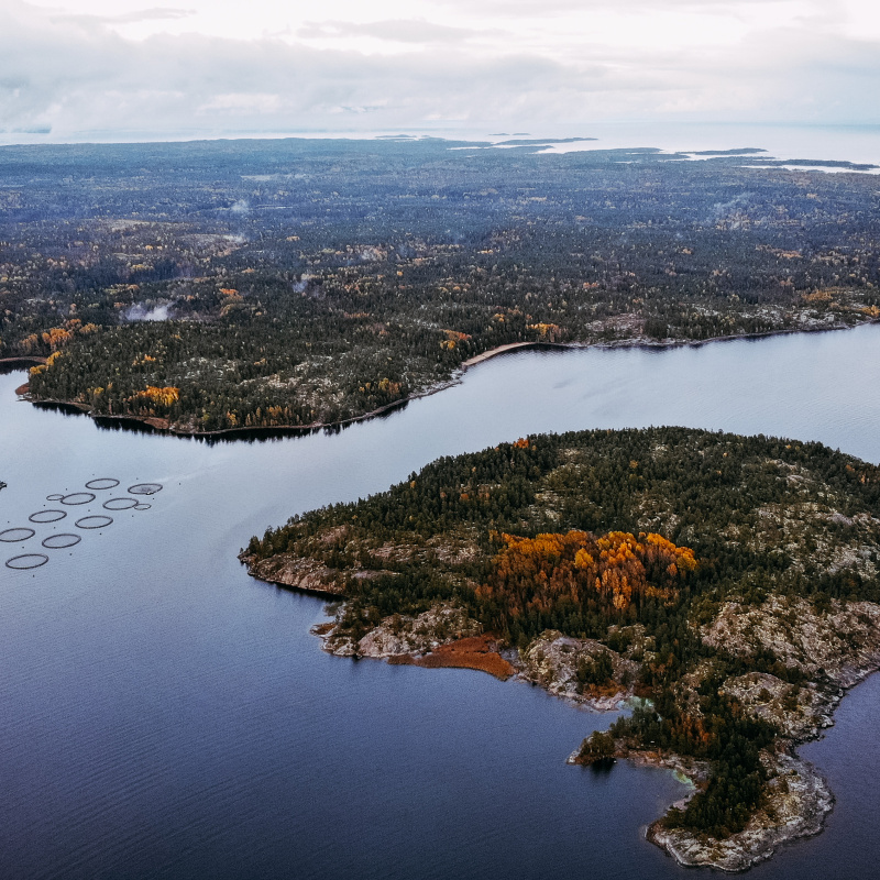 Волкова Влада Волкова Влада