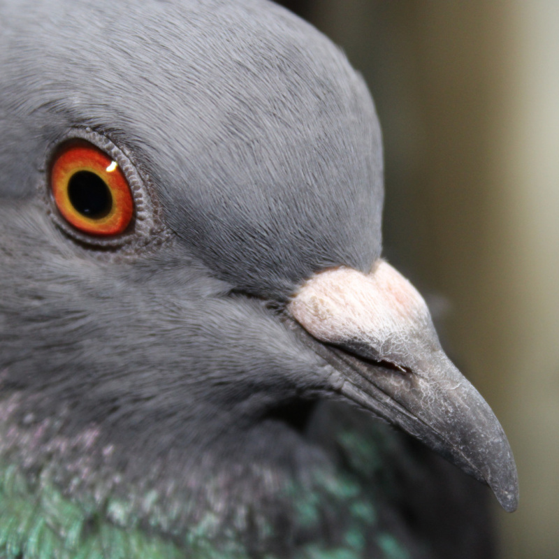 Екатерина Сайлер, участница фотоконкурса РГО "Самая красивая страна"
