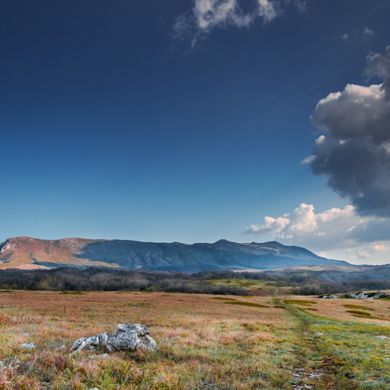 Анастасия Маркова