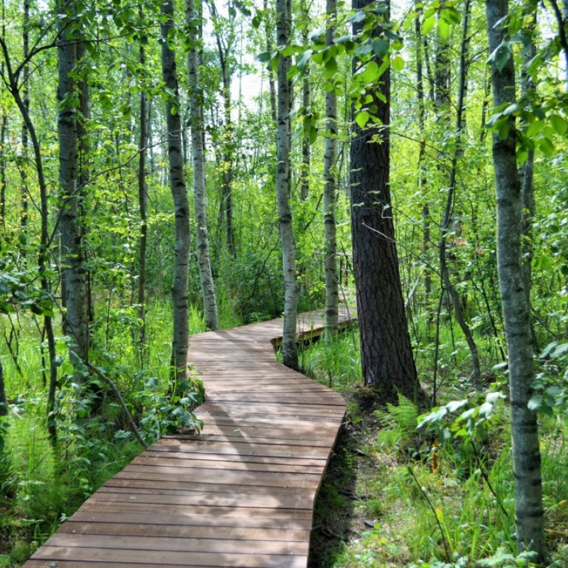 Молодёжный клуб РГО Молодёжный клуб РГО