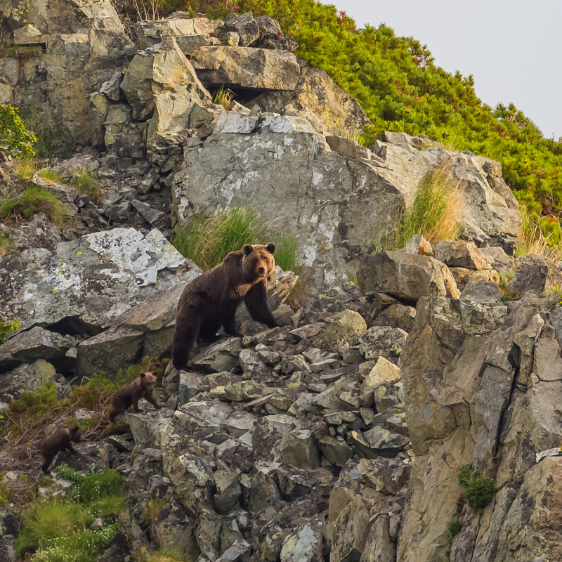Кирилл Уютнов, участник фотоконкурса РГО "Самая красивая страна" Кирилл Уютнов, участник фотоконкурса РГО "Самая красивая страна"