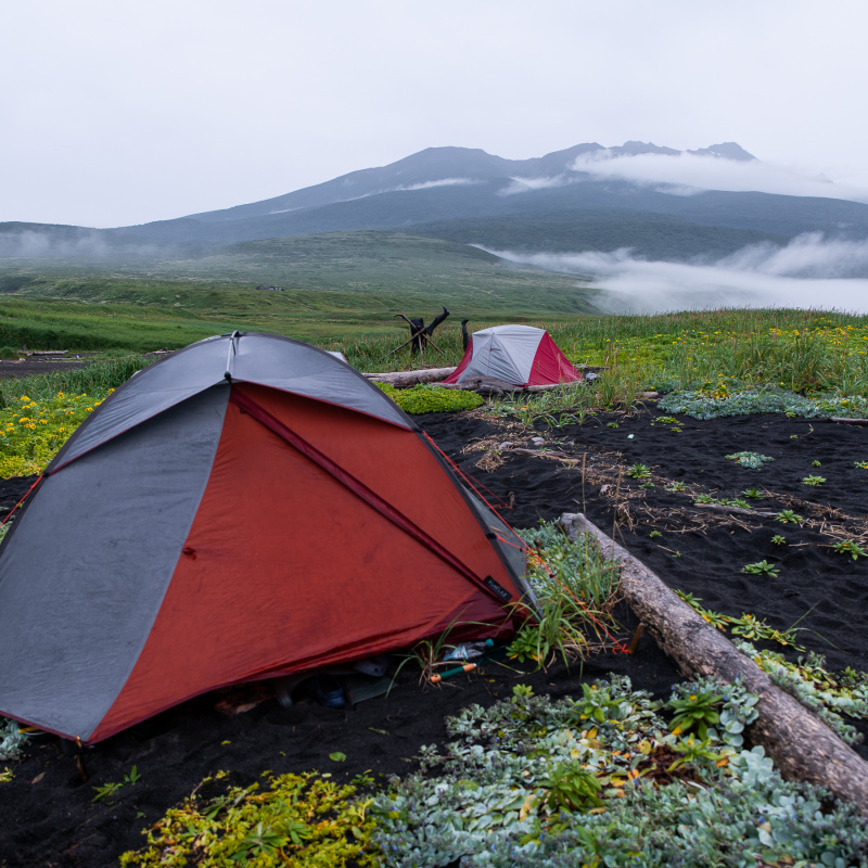 Ксения Михайлова