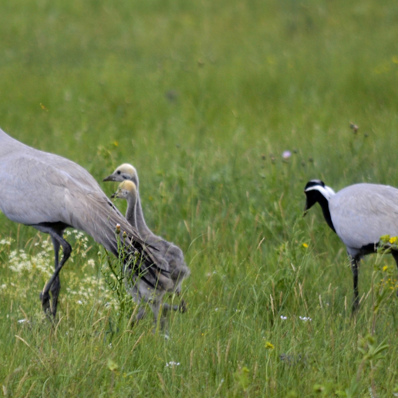 Владимир Рыбин, участник фотоконкурса РГО "Самая красивая страна" Владимир Рыбин, участник фотоконкурса РГО "Самая красивая страна"