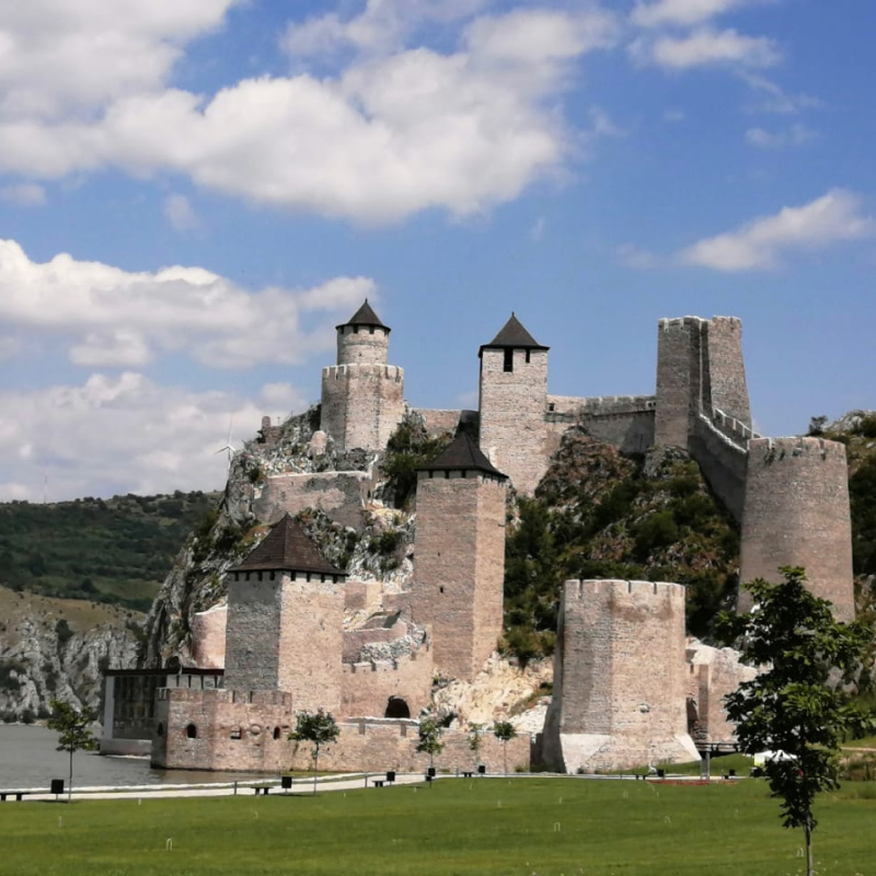 Стажировка в Сербии Стажировка в Сербии