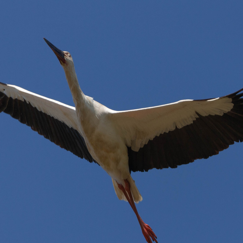 Павел Петрушин, участник фотоконкурса РГО "Самая красивая страна" Павел Петрушин, участник фотоконкурса РГО "Самая красивая страна"