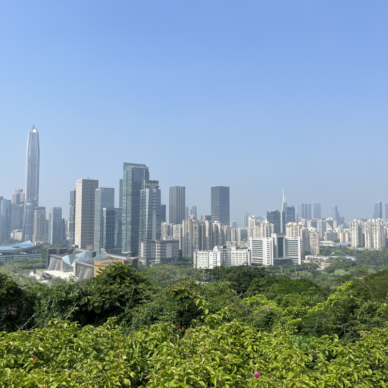 Светлана Воробьева