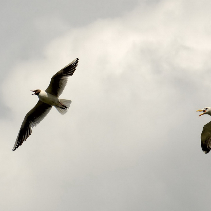 Владимир Бутаков, участник фотоконкурса РГО "Самая красивая страна" Владимир Бутаков, участник фотоконкурса РГО "Самая красивая страна"