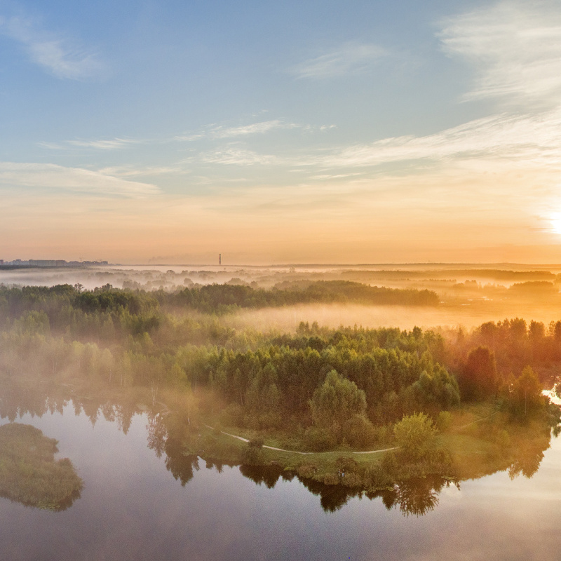 Лосиный остров