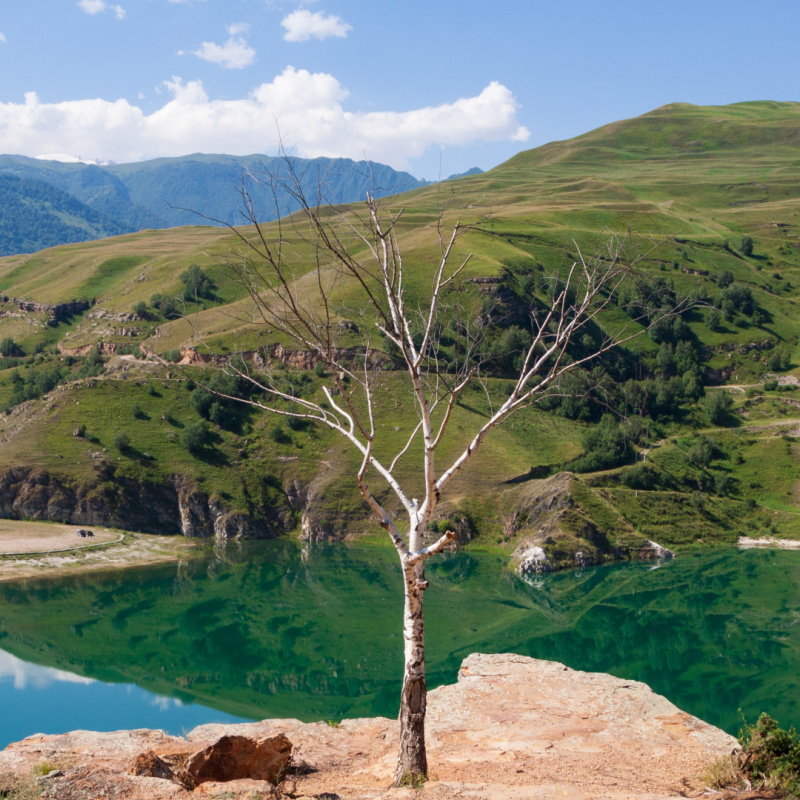 Евгений Мялов, участник фотоконкурса РГО "Самая красивая страна" Евгений Мялов, участник фотоконкурса РГО "Самая красивая страна"