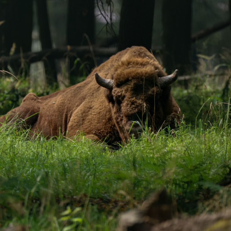 А. Егорова, участница фотоконкурса РГО "Самая красивая страна" Ангв Егорова, участница фотоконкурса РГО "Самая красивая страна"